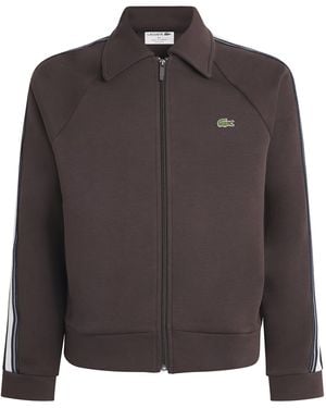 Lacoste Cotton-Blend Track Jacket - Brown