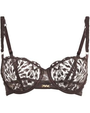 Aubade Crazy - Brown