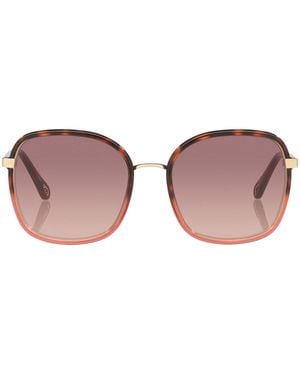 Chloé Injected Franky Square Sunglasses - Pink