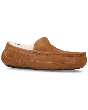 UGG Ascot Slipper - Brown