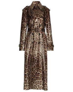 Dolce & Gabbana Leopard-Print Coated Sateen Trench Coat - Brown