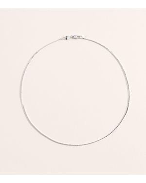 Astrid & Miyu Sterling Essential Box Chain Necklace - Natural