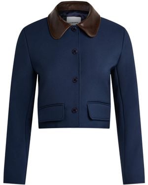 Sandro Contrast-Collar Cropped Jacket - Blue