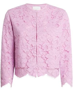 Patou Cotton-Blend Lace Collarless Jacket - Pink