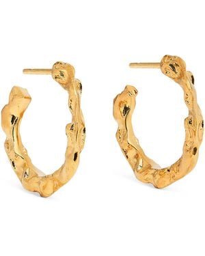 Hermina Athens Plated Full Moon Hoop Earrings - Metallic