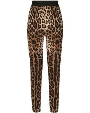 Dolce & Gabbana Leopard-Print Leggings - Multicolour