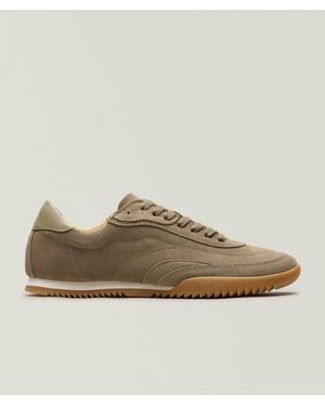 BOSS Careton Suede Sneakers - Brown