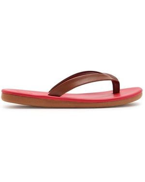 Ancient Greek Sandals Saionara Leather Flip Flops - Red