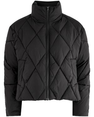 Rails Summit Quilted Nylon Coat - Black