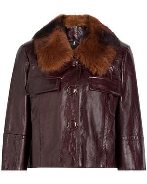 Chloé Fur-Trim Grained Leather Jacket - Brown