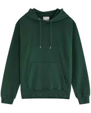 COLORFUL STANDARD Hooded Cotton Sweatshirt - Green