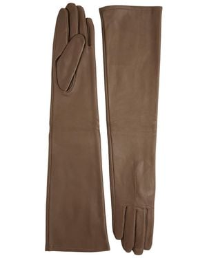 Dents Mia Leather Long Gloves - Brown