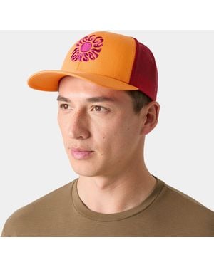 Helly Hansen Trucker Cap Std - Brown