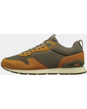 Helly Hansen Marrone