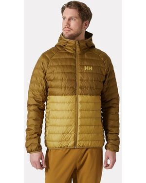 Helly Hansen Banff Hooded Insulator - Green