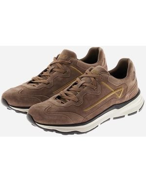 Herno Maggiore Trainers - Brown