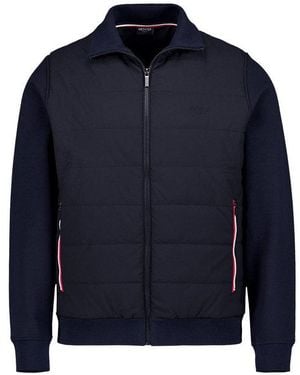 Hechter Paris Herren Pullover Unifarben - Blau