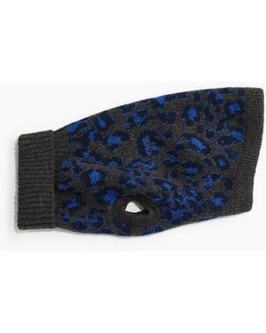 H&M Hundepullover - Blau