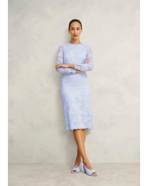 Hobbs Ottilie Lace Sequin Dress - White