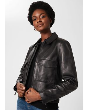 Hobbs biker jacket best sale