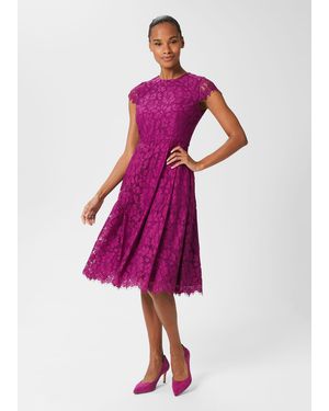 Hobbs Petite Rosaleen Lace Shift Dress - Purple
