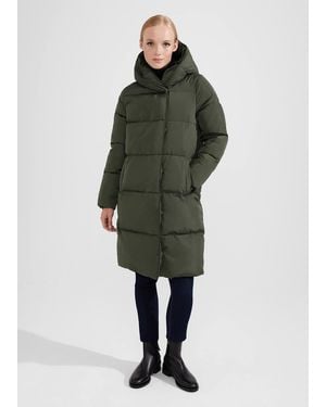 Hobbs Darla Puffer Coat - Green