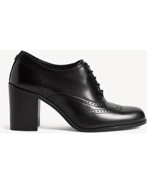 Hobbs Taylor Leather Brogue Shoe - Black