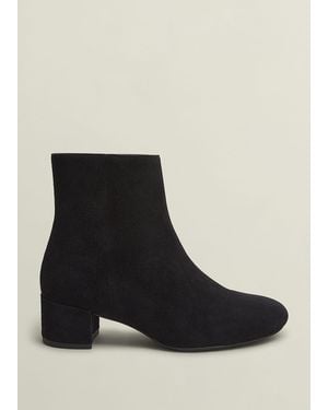 Hobbs Evelyn Suede Ankle Boots - Black