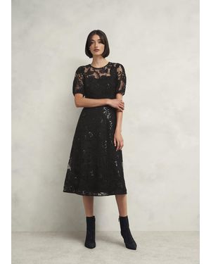 Hobbs Petite Phoebe Lace Dress in Blue | Lyst UK
