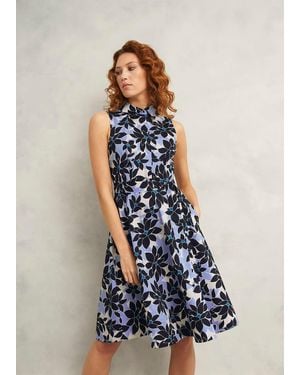 Hobbs Petite Beki Cotton Dress - Blue