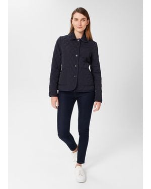 Hobbs Josephine Jacket - Blue
