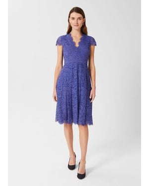 Hobbs Anastasia Lace Fit And Flare Dress - Blue