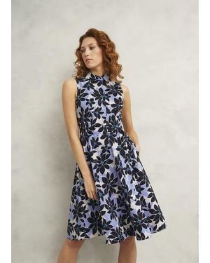 Hobbs Petite Beki Cotton Dress - Blue