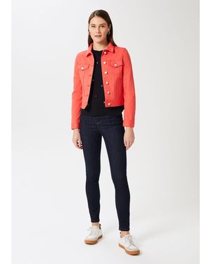 Hobbs Mariam Jacket - Multicolour