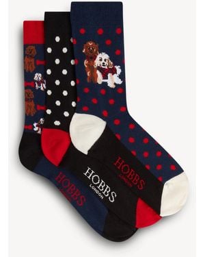 Hobbs Dog Sock Set - Blue