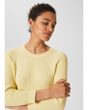 Hobbs Lucie Cotton Jumper - Natural
