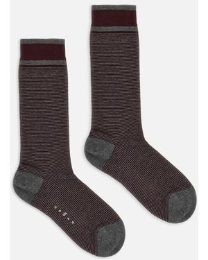 Hogan Calcetines - Marrón