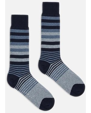 Hogan Calcetines - Azul
