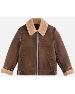 Hogan Clothing, - Brown