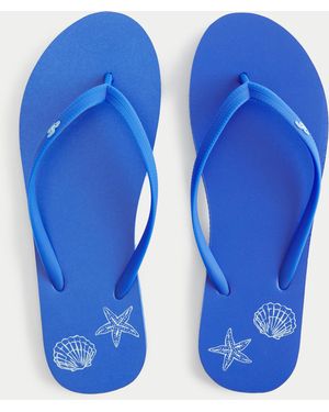 Hollister Graphic Rubber Flip Flops - Blue