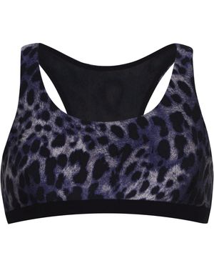 Koral Tax Cheetah Bra - Blue