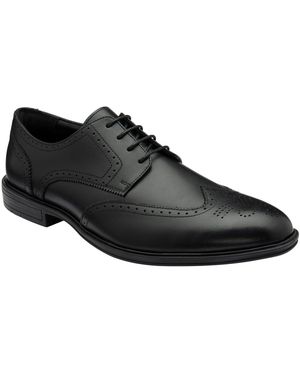 Lotus Shoes Skipton Shoe Brogues - Black