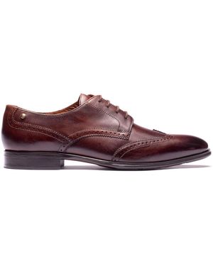 Base London Sloane Brogue Shoe - Brown