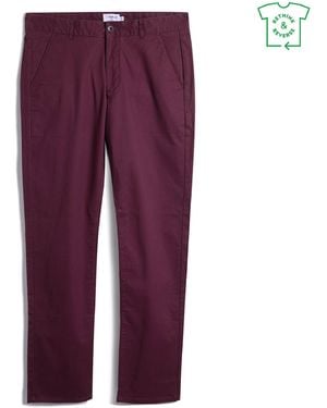 Farah Elm Slim Chinos - Purple