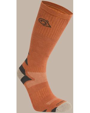 Craghoppers Nosilife Adventure Lightweight Travel Socks - Brown