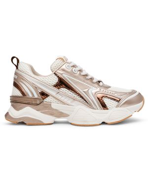 Steve Madden Heritage Low-Top Trainers - Natural