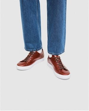 Ecco Court Trainers - Blue