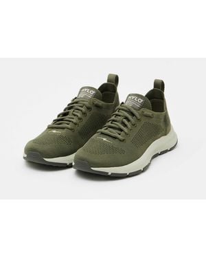Hylo Athletics Adults - Green