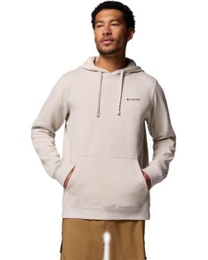 Columbia Trek Oth Graphic Hoodie - Brown