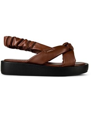 Hi-Tec Fuse Trail Shoes - Brown